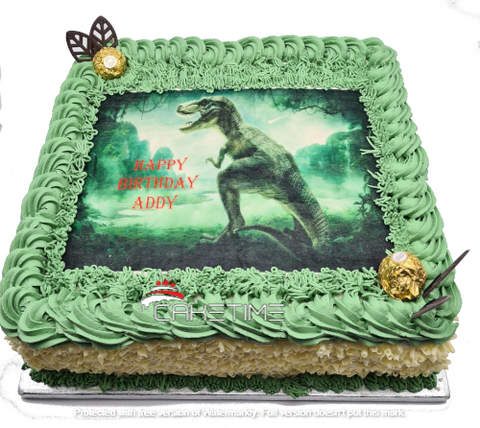 Dinosaur Photo Cake