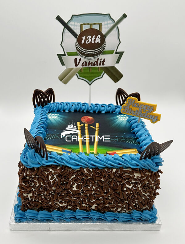Cricket Theme Cake